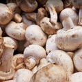 Согласно исследованию, ежедневное употребление грибов может снизить риск развития рака в два раза!